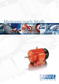 Motoren nach Maß